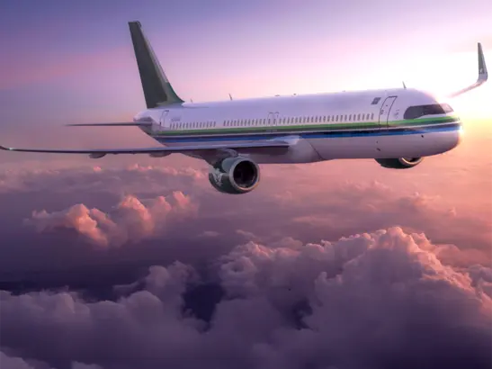 Aviation Sector